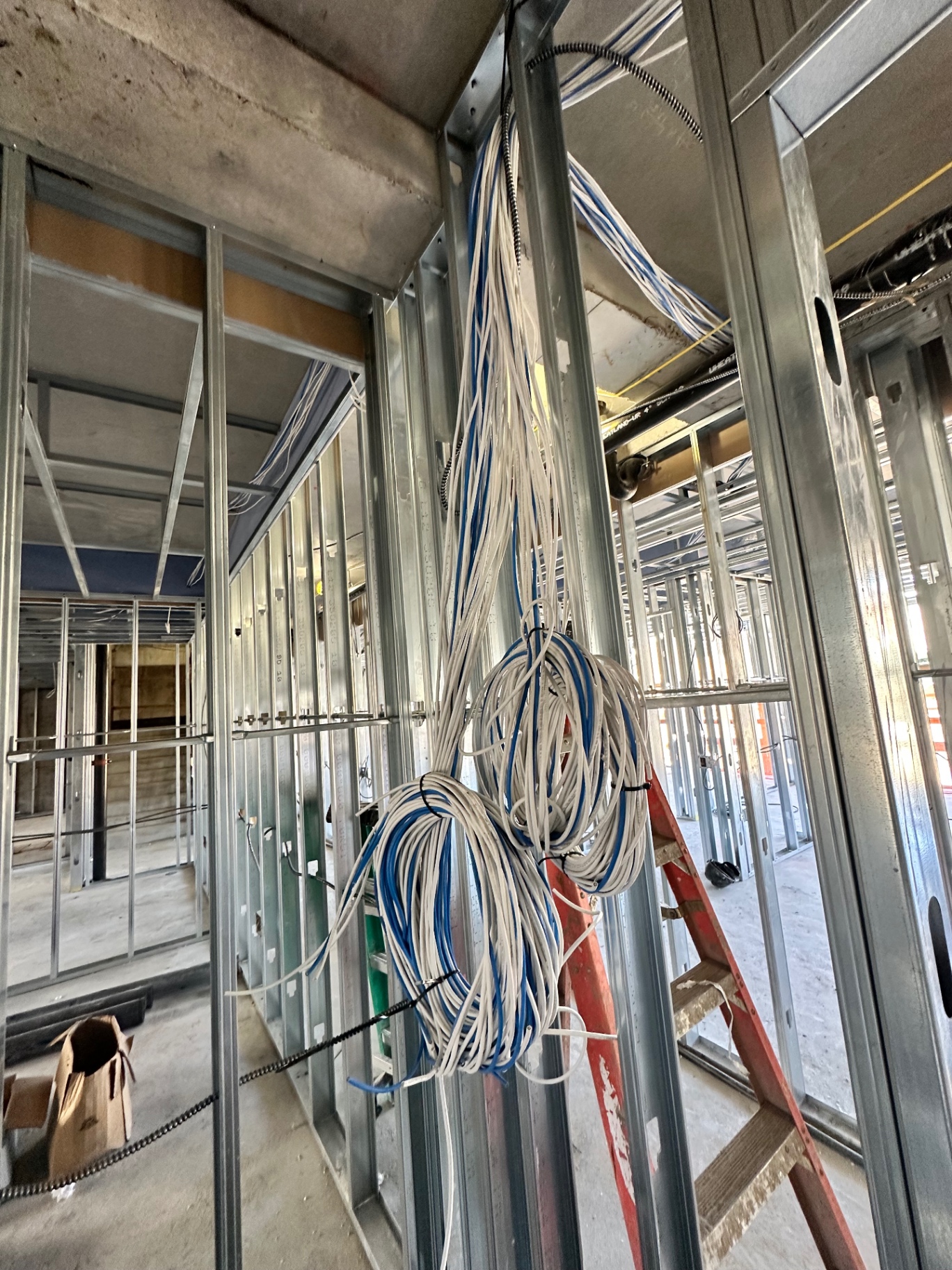 Coiled low voltage cable drops staged in open framing on a commercial build-out